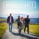 Avløserlaget Episode 10. Sesong 4