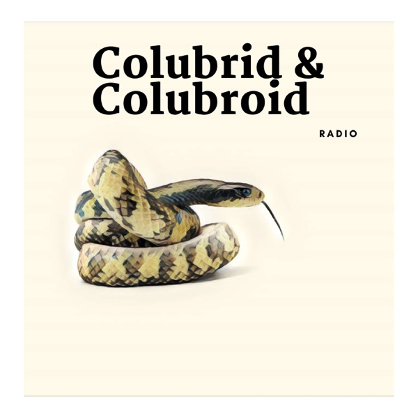 Colubrid & Colubroid Radio Artwork