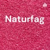 Naturfag