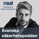 Hur ser en internationell säkerhetsexpert på Sverige?