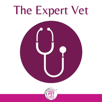 The Expert Vet™