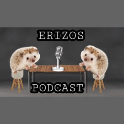 Erizos Podcast