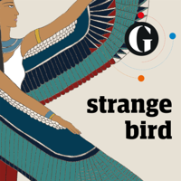 Strange Bird podcast