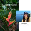 Passion Stories with Free To Flourish artwork