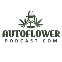 Autoflower Podcast podcast
