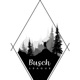 Busch League 