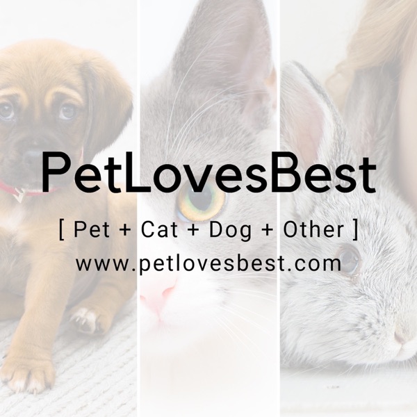 PetLovesBest Artwork