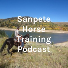 Sanpete Horse Training