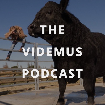 The VIDEMUS Podcast The VIDEMUS Podcast