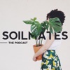 SOILMATES artwork