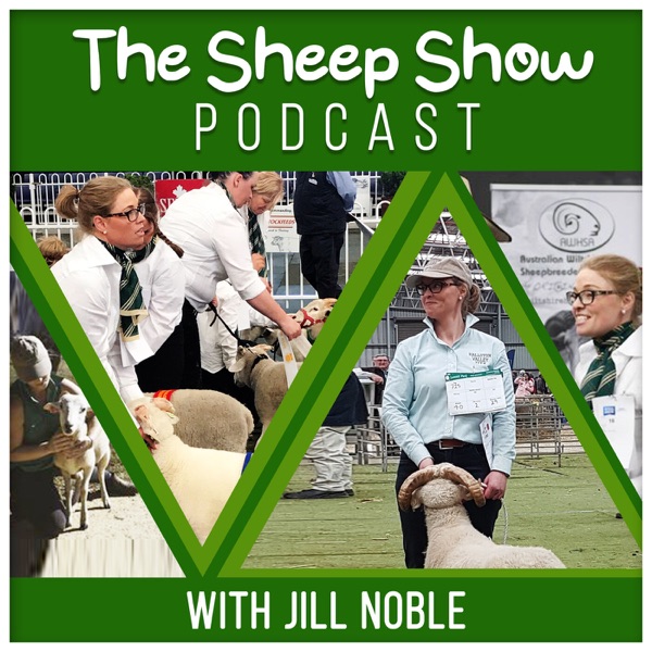 The Sheep Show podcast Artwork