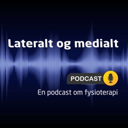Episode 11 - Norsk psykomotorisk fysioterapi - en utfyllende samtale