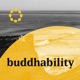 Buddhism and the startup journey