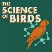 The Science of Birds - Ivan Phillipsen