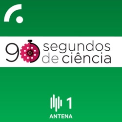 Sandra Heleno (Técnico / CERENA) – Projeto ALTITUD3 avalia a modelação tridimensional do terreno com recurso a drones de baixo custo