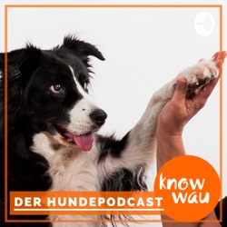 Mit dem Hund durch die Corona-Krise