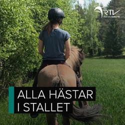 Hästsporten på Åland - styrkor och utmaningar
