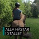 Hästhoppning på Åland