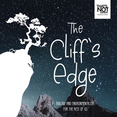 The Cliff's Edge The Cliff's Edge