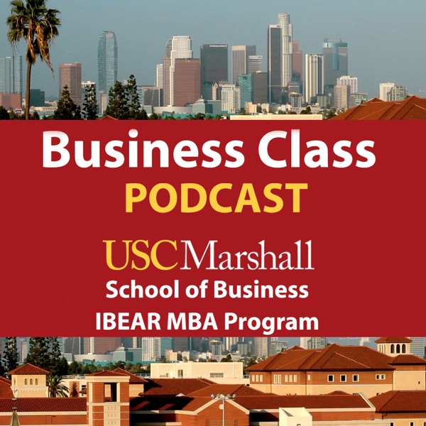 USC IBEAR Business Class Artwork