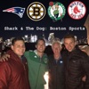 Shark and the Dog: Boston Sports artwork
