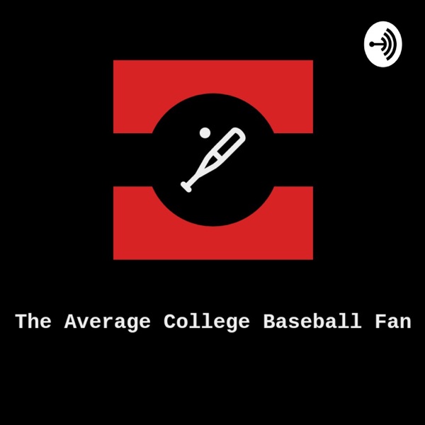 The Average College Baseball Fan Artwork