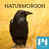 Naturmorgon