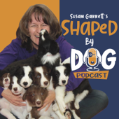 Shaped by Dog with Susan Garrett - Susan Garrett