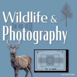 5 – Our top accessories for wildlife and outdoor photography