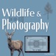 Wildlife and Photography