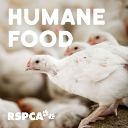 What is humane food? With Hope from the RSPCA