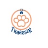 Thanesix artwork