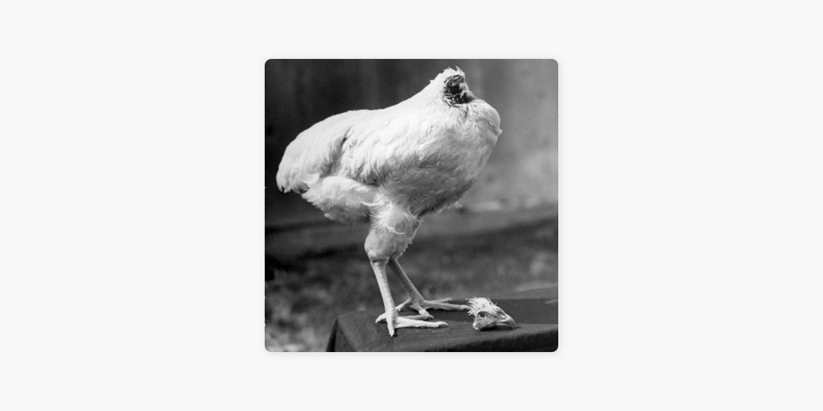 Crónicas en el Aire: Mike: El pollo sin cabeza on Apple Podcasts