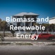 What is Biomass Energy, How Biomass Energy Works