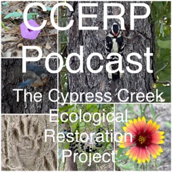 CCERP Podcast