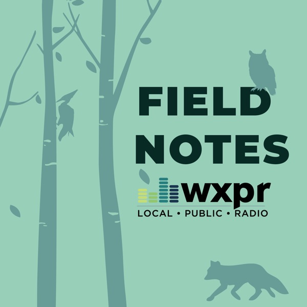 WXPR Field Notes Artwork