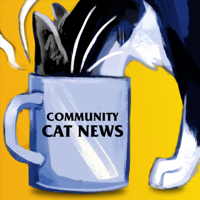 Community Cat News podcast