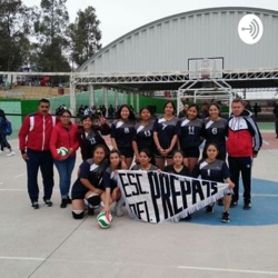 Liga Femenil De Voleibol Mexicana 