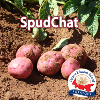 #3 Precision Ag in Potatoes - Evan MacDonald