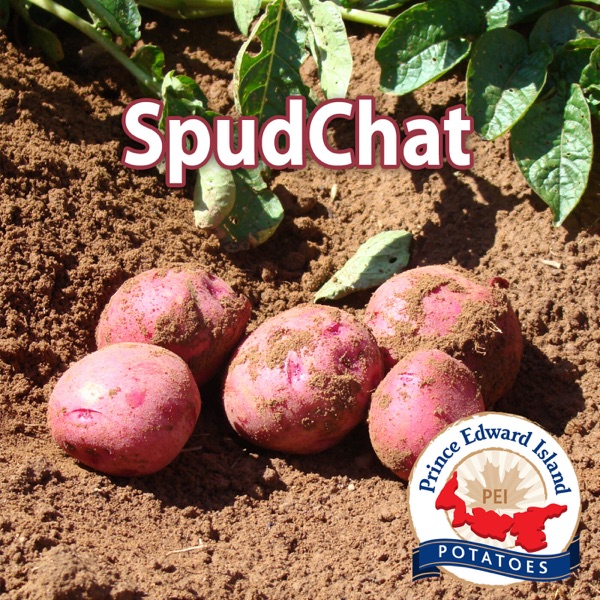 SpudChat Artwork