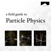 The Field Guide to Particle Physics - Sean Downes