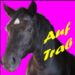 Martin Lasser: „Vielseitiges Training verbessert das Pferd!“