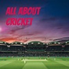 All About Cricket artwork