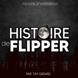 Histoire de Flipper
