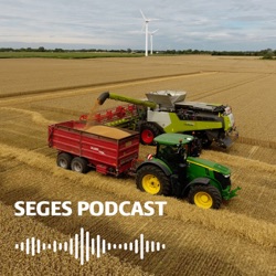 Podcast om udtagning 3: Gregers og Kragelund Mose