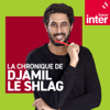 La chronique de Djamil le Shlag - France Inter
