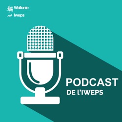 Quel effet des aides à l’embauche sur l’emploi des jeunes faiblement scolarisés en Wallonie ?