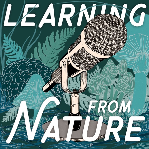 Learning from Nature: The Biomimicry Podcast with Lily Urmann