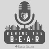 Behind the Bear artwork