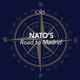 NATO’s Road to Madrid